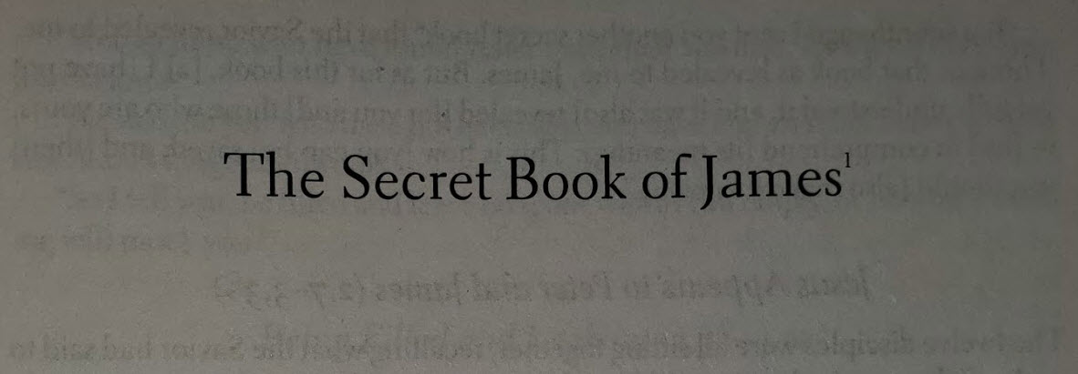 The Secret Book of James (Bold Christian Text)